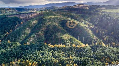 Every Fall A Giant Smiley Face Of Trees Appears On This Hillside In