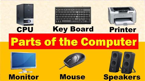 What Are The 4 Basic Parts Of A Computer