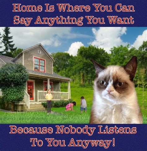 Grumpy Cat Loves To Be Home Where You Can Say Anything You Want Because