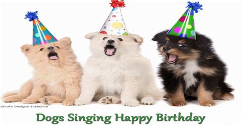 Dogs Singing Happy Birthday Happy Birthday Dog Happy Birthday Funny