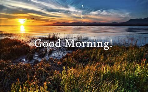 Download Vibrant Lake Landscape Good Morning Wallpaper