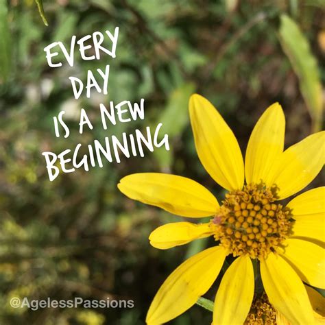 The T Of A Brand New Day Ageless Passions By Karen Putz The