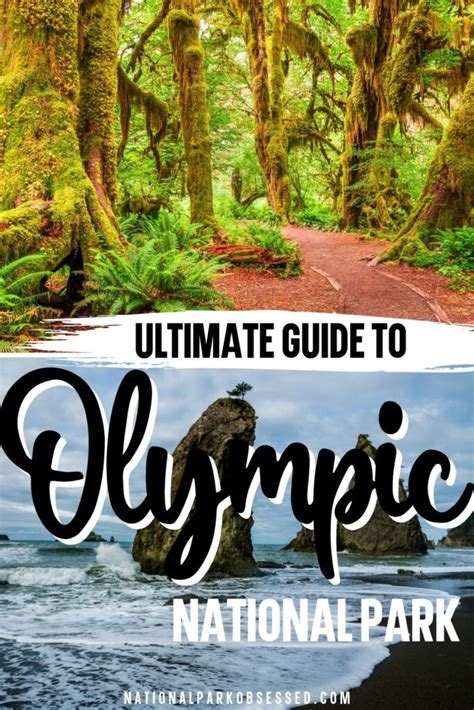 Visiting Olympic National Park The Complete Guide In 2022 National