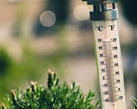 Ranking The Best Outdoor Thermometers Of 2024