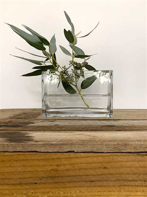 Large Rectangular Glass Vase Glass Designs
