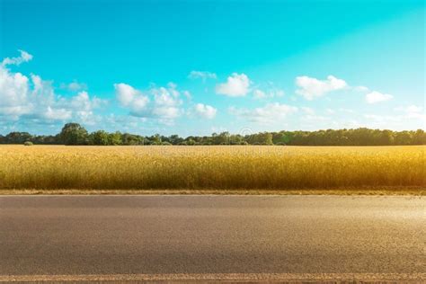 Empty Country Road With Field And Rural Landscape Background On A Sunny