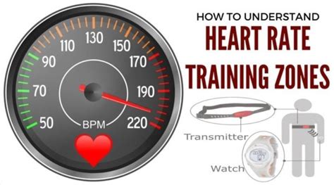 Calculate Your Target Heart Rate Range Bodybuilding Wizard