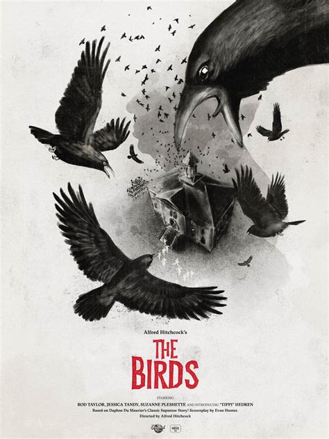 the birds movie poster — secret movie club