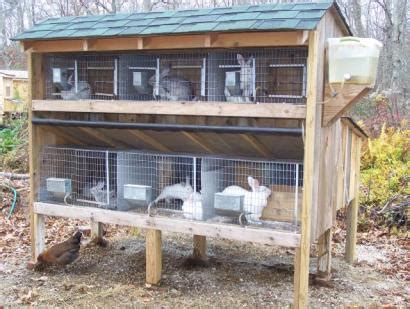 There is always a market for rabbits in africa. Rabbit Farming - 3 Amazing Success Stories And Everything You Need To Know About This Lucrative ...