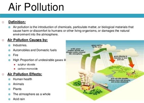 Maybe you would like to learn more about one of these? Lesson Plan of Effects of Pollution on Environment General ...