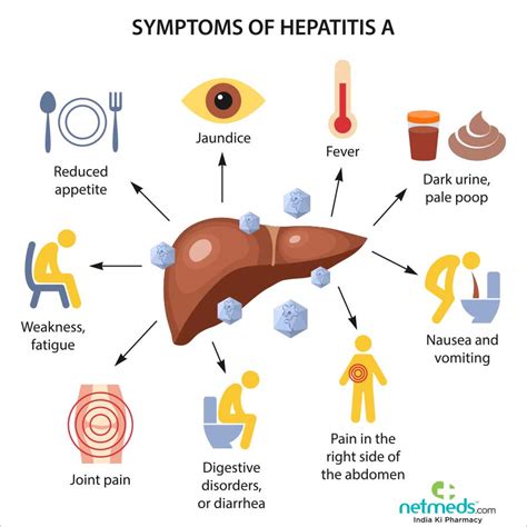 Hepatitis A Causes Symptoms And Treatment Netmeds