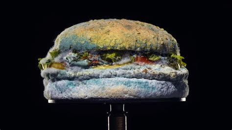 Burger King Takes A Twist On Classic Commercial Food Photography With
