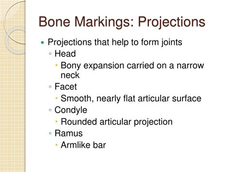 Ppt The Skeletal System Bones And Joints Powerpoint Presentation