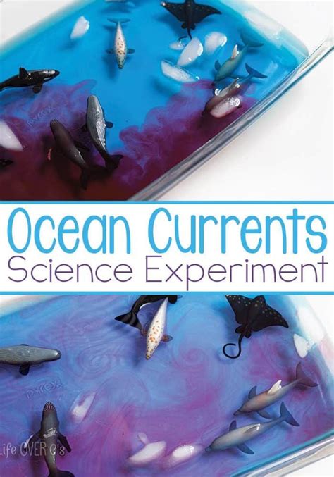 Ocean Currents Science Experiment Science Experiments Kids Ocean