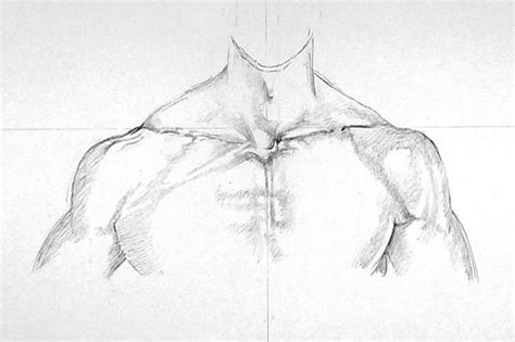 How To Draw Shoulders A Step By Step Guide To Drawing Shoulders