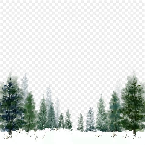 Pine Tree Jungle Landscape PNG Vector PSD And Clipart With