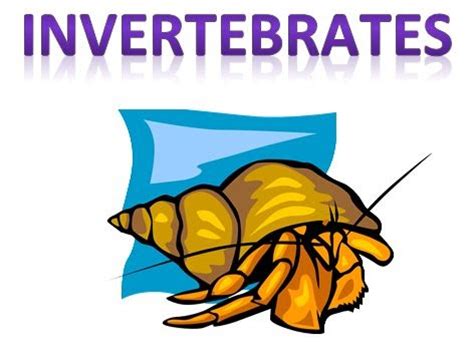 Some of the worksheets for this concept are invertebrates, invertebrate classification challenge, invertebrates, 31invertebrates, name vertebrates, invertebrate identification guide, classification of animals, classification of animals. Work Sheet On Introduction To Inverta Brate : Printable Activities For 6 Year Olds Ks Learning ...
