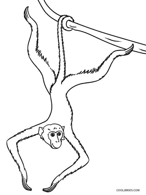 How To Draw A Spider Monkey Johnie Kuntz