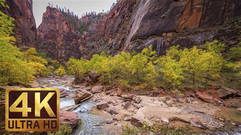 4k Nature Photography With Music Zion National Park Proartinc