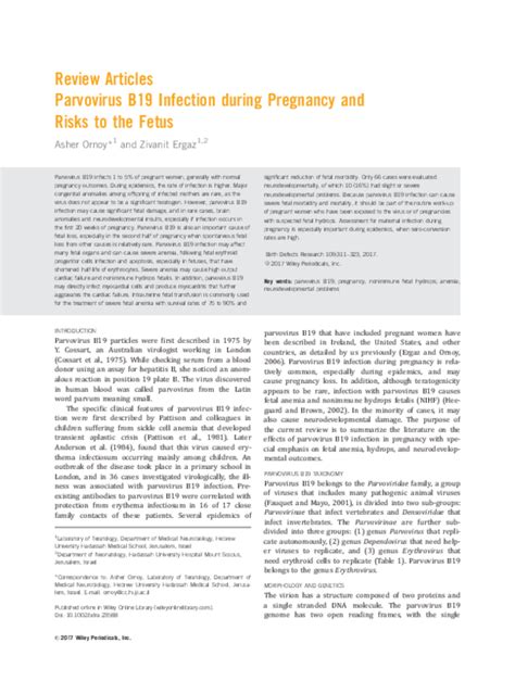 Pdf Parvovirus B19 Infection During Pregnancy And Evaluation Of Fetal