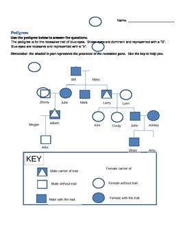 Genetics pedigree worksheet a pedigree is a chart of a person s ancestors that is used to analyze genetic inheritance of certain traits. Heredity Pedigree punnett square worksheet activity by ...