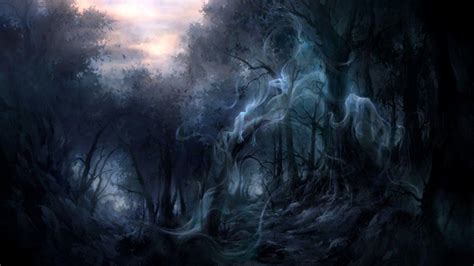 Dark Forest Wallpapers Wallpaper Cave