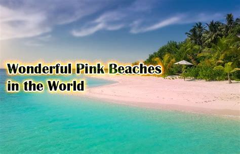 Wonderful Pink Beaches In The World
