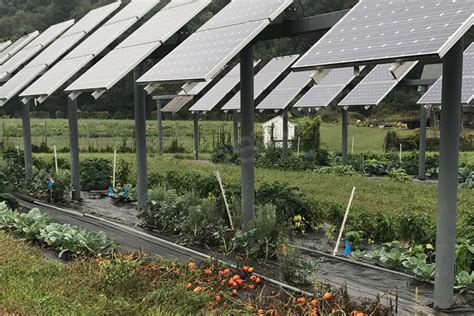Do You Know The Benefits Of Photovoltaic Agricultural Greenhouse