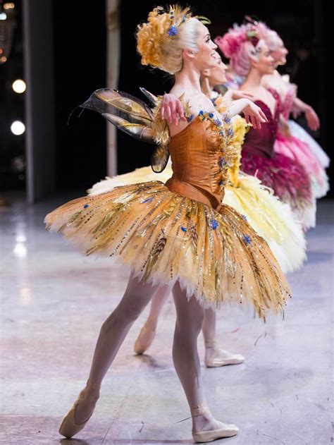 Stunning Costumes For The Sleeping Beauty Ballet