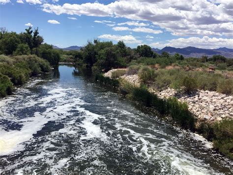 Las Vegas Wetlands The Clark County Wetlands Park Is Only 20 Minutes