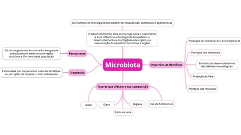 Mapa Mental Microbiota Microbiologia