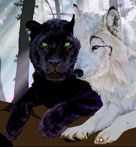 wolf and panther - Google Search | Panther pictures, Panther art, Panther