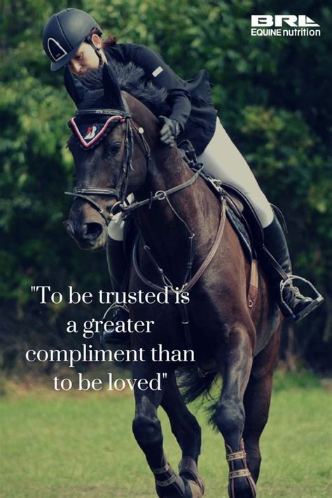 Pin By I Love My Horse More On Equestrian Quotes Horse Riding Quotes