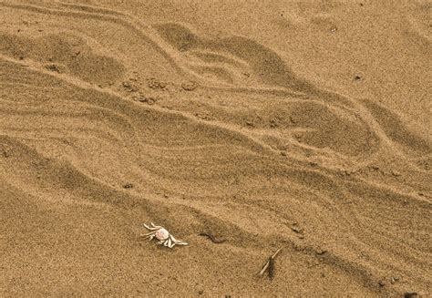 Ich fand jedoch, dass die anzahl der charaktere es schwierig machte. Spuren im Sand Foto & Bild | deutschland, europe, mecklenburg- vorpommern Bilder auf fotocommunity