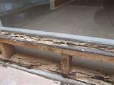 Termite Inspection Mesa Az Images