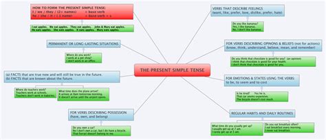 THE PRESENT SIMPLE TENSE XMind Mind Mapping Software