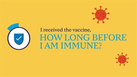 Mayo Clinic Insights The Need For Receiving Two Doses Of MRNA Vaccines