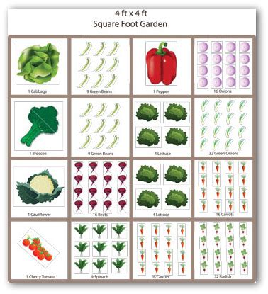 The veggies are placed to reduce overlap, allowing each plant to grow strong. Free Vegetable Garden Plans