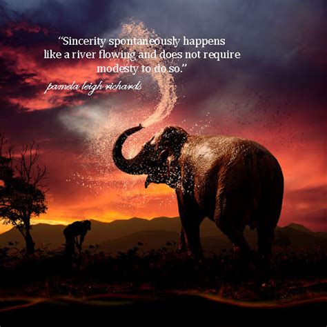 Beautiful Elephant Quotes Quotesgram