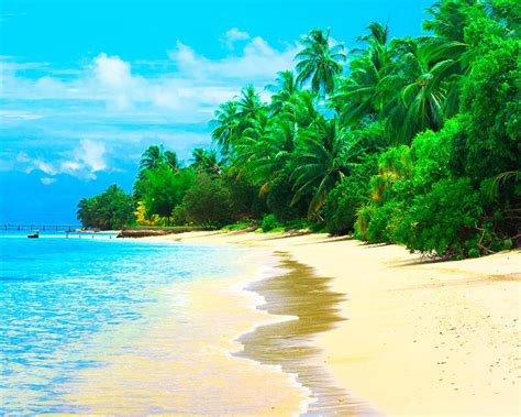 Maldives Summer Resort Sea Sandy Beach Coconut Trees Waves Desktop 