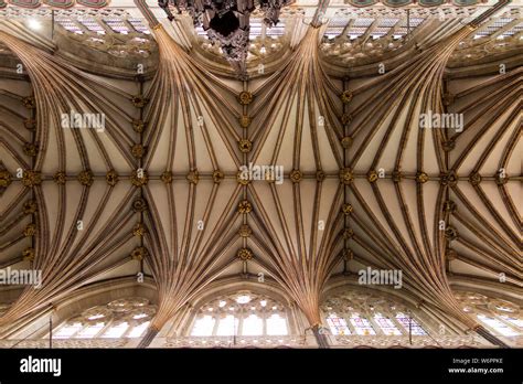 Looking Up In The Nave To The Tierceron Vaulted Tierceron Vault