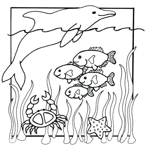 Ocean Animals Coloring Pages For Preschool At Free