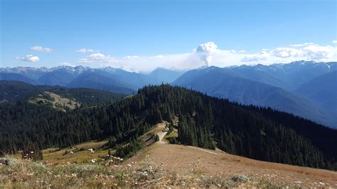 Last Augusts Forest Fires From Hurricane Ridge Olympic National Park