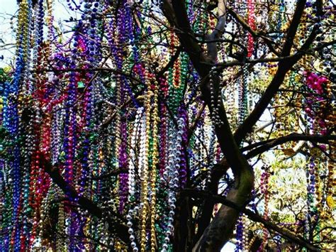 New Orleans Beads New Orleans Mardi Gras Favorite City Favorite