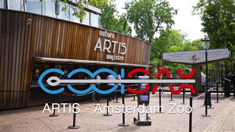 Artis Amsterdam Zoo Youtube