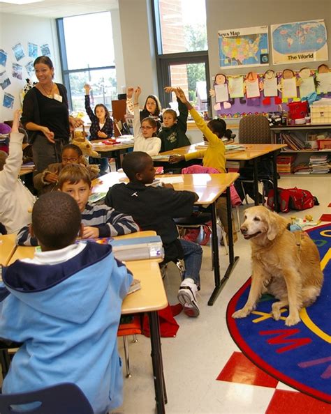 10 Common Problems And Benefits With Classroom Pets
