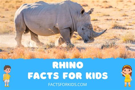 17 Rhino Facts For Kids That Will Amaze You Facts For Kids