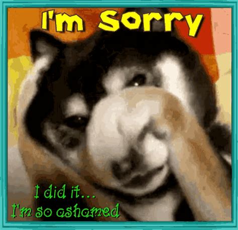 Im Sorry Puppy Dog Eyes  Imsorry Puppydogeyes Sadeyes Discover