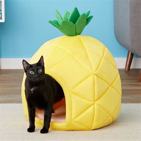 Beautiful Pineapple Cat Bed Your Cat Will Love Ok Cute Pets