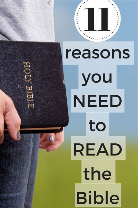 11 Reasons You Need To Read The Bible Bible Studies For Beginners